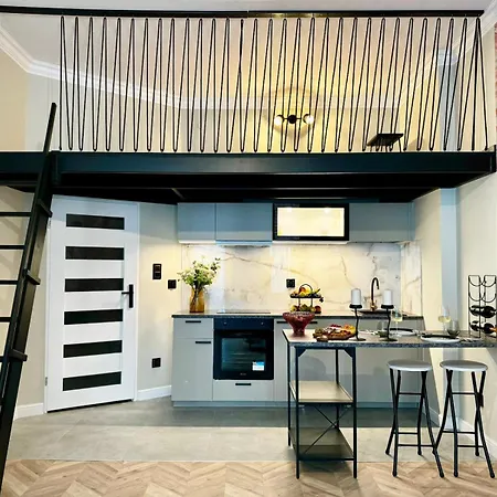 Swietokrzyska Appartement *